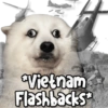 Vietnam
Flashbacks*
KANE