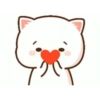 Kitten 27