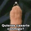 Quieres casarte conmigo?