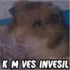 😂 MEMES DIVERTIDOS 😎 3 8