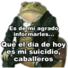 Rana caballerosa 13