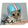 Memes del pro 6