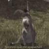 Necesito que me apapachen.