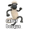 OO
cabut
bosque