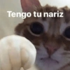 🤪👌Shitposting Random 😎🤟 2 7