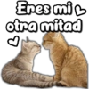 Eres mil
otra mitad
OV