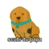 scubi du papa