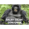 Insta:GORİLCOMİCS 9