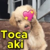 MEMES ATUALIZADOSS 9