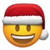 CHRISTMAS SPECIAL 🎄 12