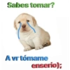 Sabes tomar?
A vr tómame
enserio);