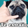 Peyitos Bonitos❤️🐕🥈 20