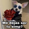 Me dejas ser tu simp?