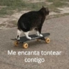 🤪👌Shitposting Random 😎🤟 2 10