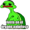 Payi Justo en el órgano palpitoso