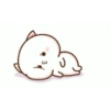 Kitten 28