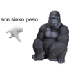 son sinko peso