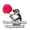 @ballolet88 Ten una flor, Cogemos?