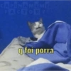 Só as irônicas  5