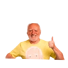 MEMES HAROLD THE PAIN 25