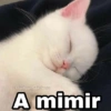 A mimir