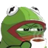 Sapo pepe 5