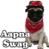 Funny PUG 6