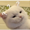 Randoman kucing stress 9