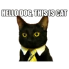 HELLO DOG, THIS IS CAT
O