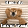 Peyitos Bonitos❤️🐕🥈 5