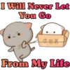 I Will Never Let
You Go
From My Life