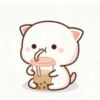 Kitten 15
