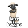 00
kece
bosque