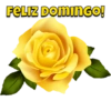 FELIZ DOMINGO!