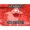 Petrik 5