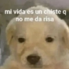 🤪👌Shitposting Random 😎🤟 2 6
