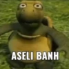 Random tapi banyak petriknya 8