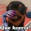 Peyitos Bonitos❤️🐕🥈 23