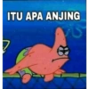 ITU APA ANJING