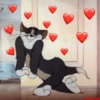 MANDA PARA O MOZÃO 😍❤️ 10