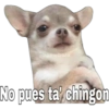 @baewhorx No pues ta' chingon