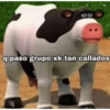 q paso grupo xk tan callados