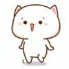 Kitten 29
