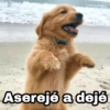 Aserejé a dejé