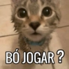 BÓ JOGAR?