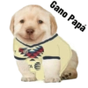 Club América Shitposting 9