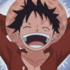 Monkey d. luffy 26