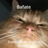 @michis.para.ti
Bañate
Puedo olerte desde la
pantalla