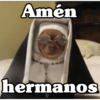 Peyitos Bonitos❤️🐕🥈 25