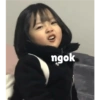 ngok